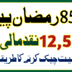 8558 Ramzan Package Check Online